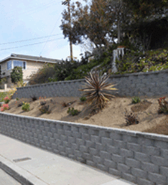 Landscape Contractor San Diego